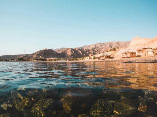 Hurghada & Sharm El Sheikh